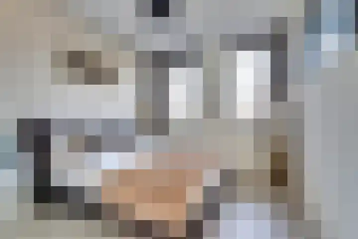 Chansondreef 75 Harderwijk thumbnail 19
