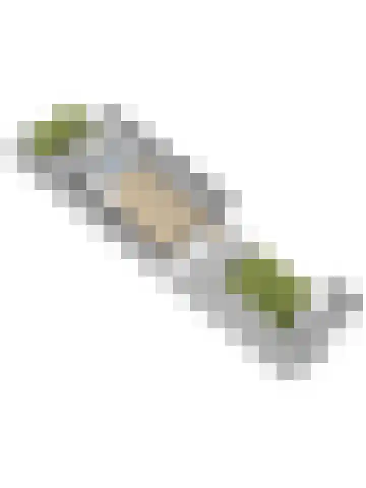 Chansondreef 75 Harderwijk thumbnail 54