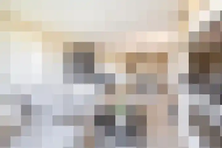 Charentestroom 13 Zoetermeer thumbnail 15