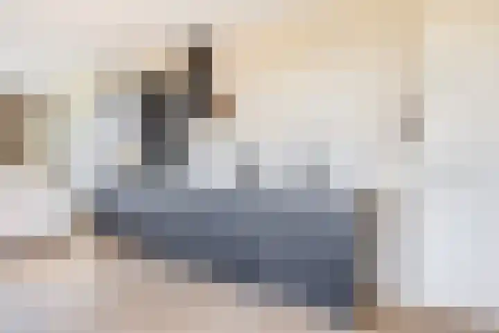Charentestroom 13 Zoetermeer thumbnail 18