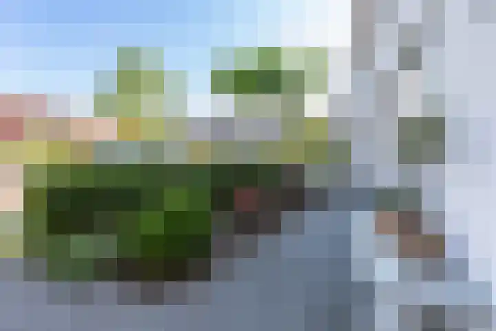 Charles Wilsonstraat 4 Almere thumbnail 12