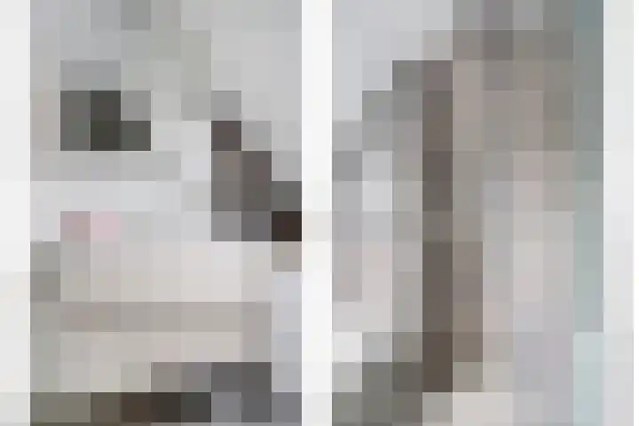 Foto van Charlotte Rommerts