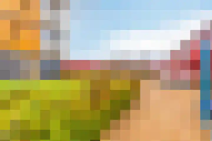 Chatelainestraat 60 Almere thumbnail 41