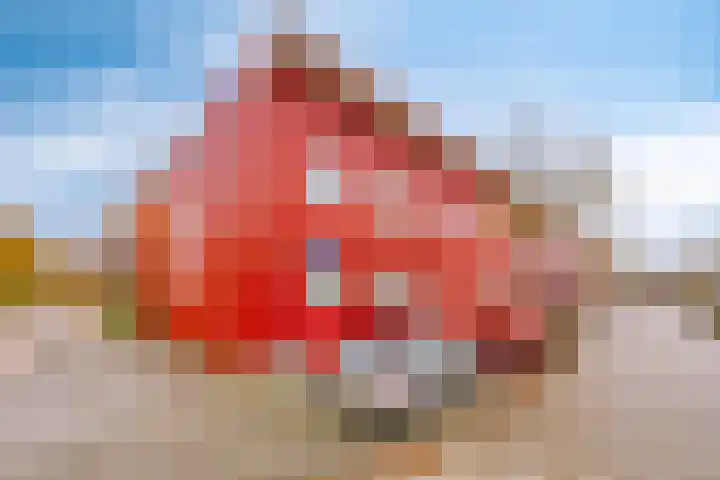 Chatelainestraat 60 Almere thumbnail 45