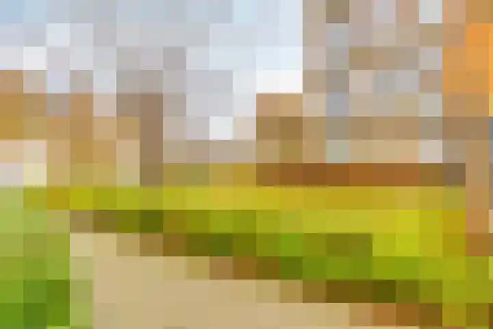 Chatelainestraat 60 Almere thumbnail 48