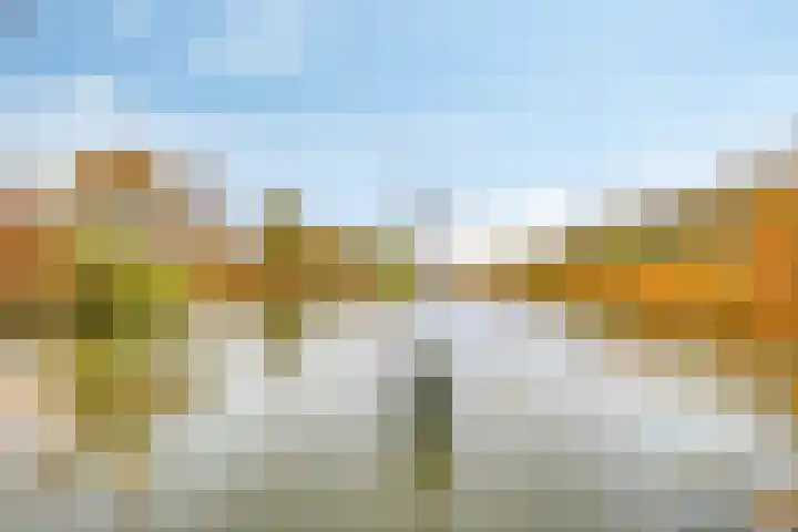 Chatelainestraat 60 Almere thumbnail 52