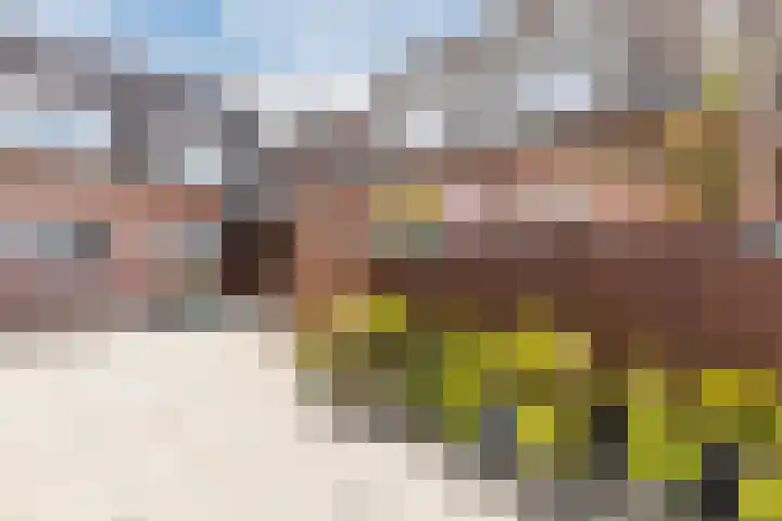 Chatelainplein 23 Echt thumbnail 12