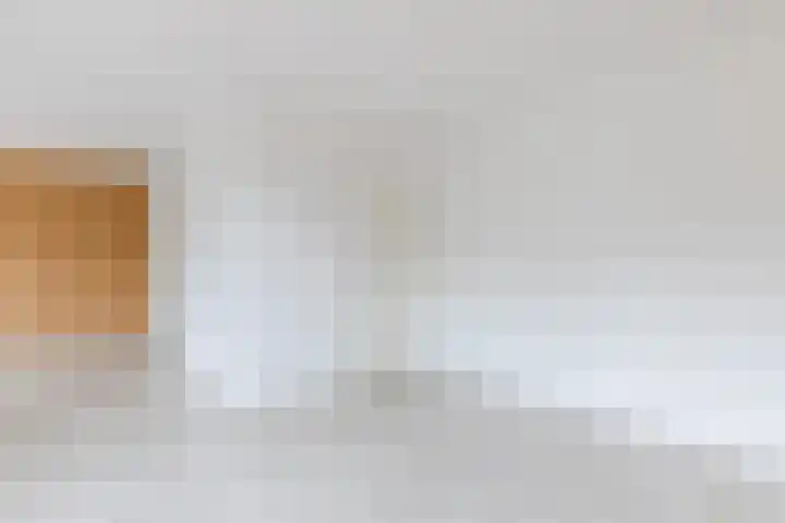 Chatelainplein 23 Echt thumbnail 20