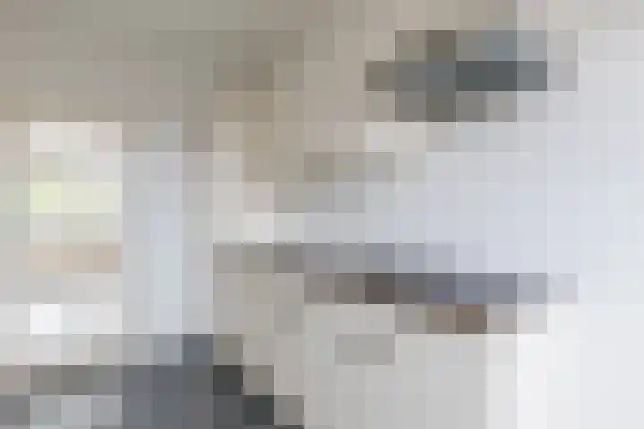 Chatelainplein 23 Echt thumbnail 28