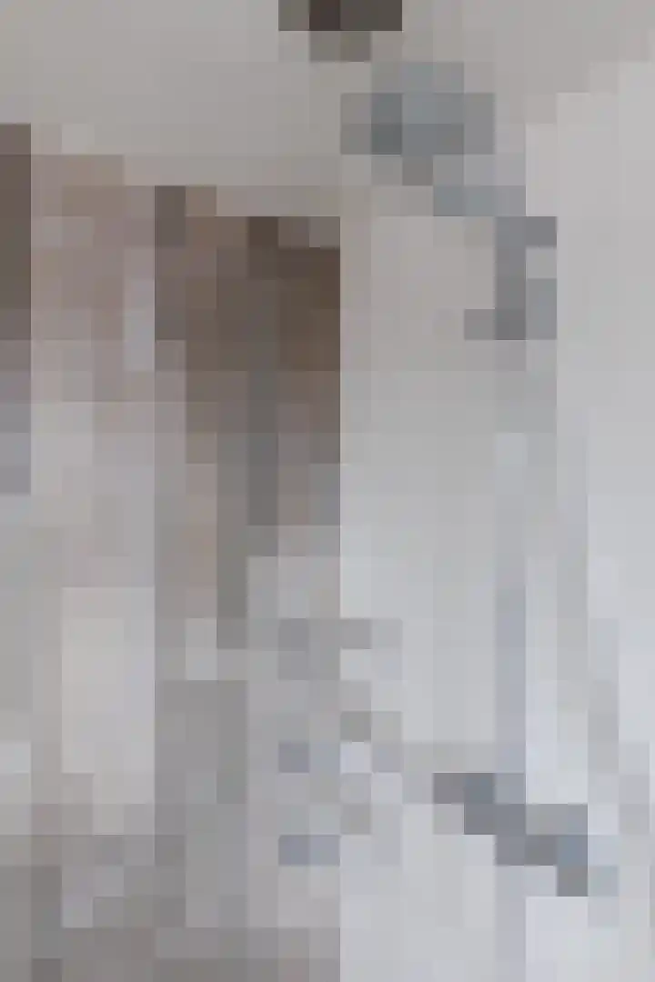 Chatelainplein 23 Echt thumbnail 41