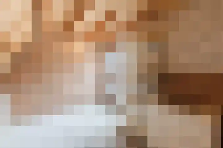 Chatelainplein 23 Echt thumbnail 47