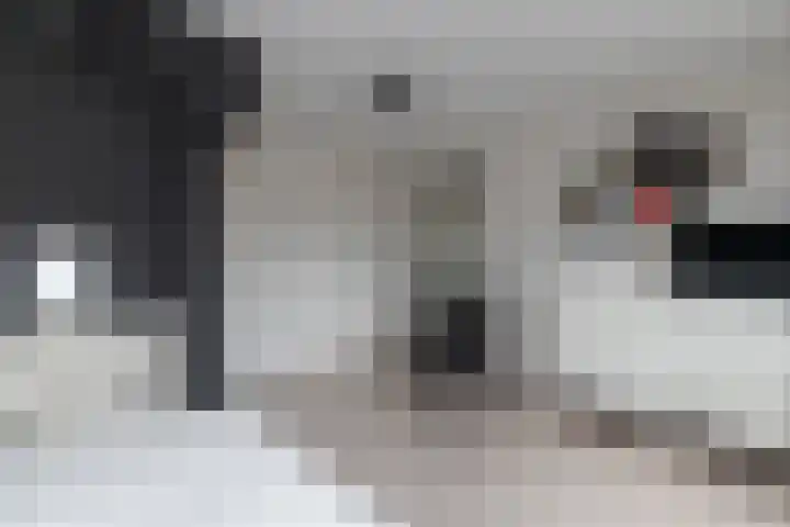 Chinalaan 8 Delft thumbnail 17