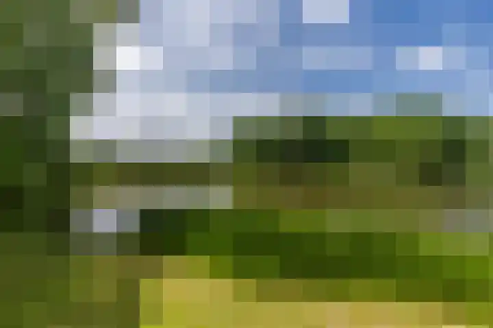 Chinalaan 8 Delft thumbnail 34