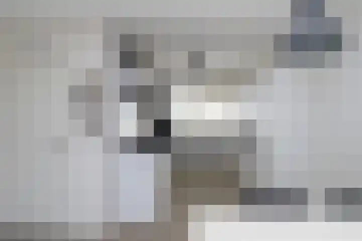 Chinalaan 8 Delft thumbnail 9