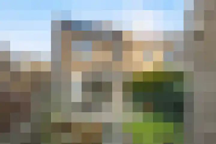Chirurgijn 40 Amstelveen thumbnail 11