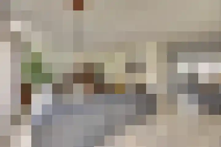 Chirurgijnsgilde 20 Dronten thumbnail 11
