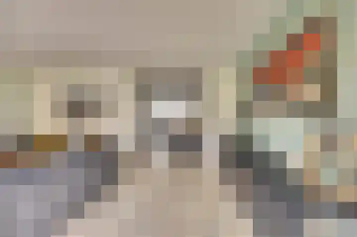 Chirurgijnsgilde 20 Dronten thumbnail 12