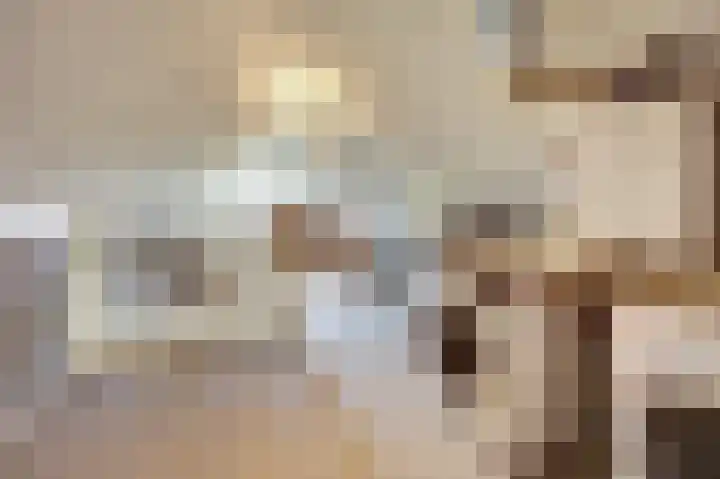 Chirurgijnsgilde 20 Dronten thumbnail 31