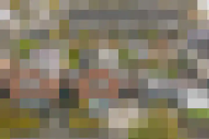 Chirurgijnsgilde 20 Dronten thumbnail 35