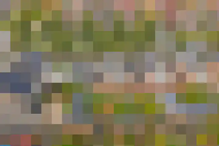 Chirurgijnsgilde 20 Dronten thumbnail 37