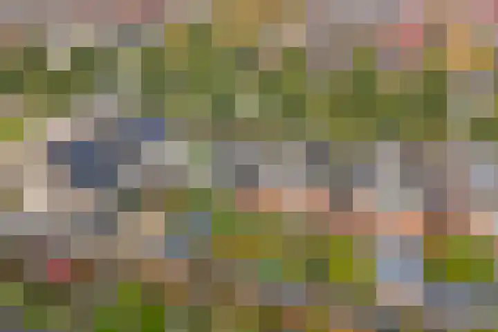 Chirurgijnsgilde 20 Dronten thumbnail 38
