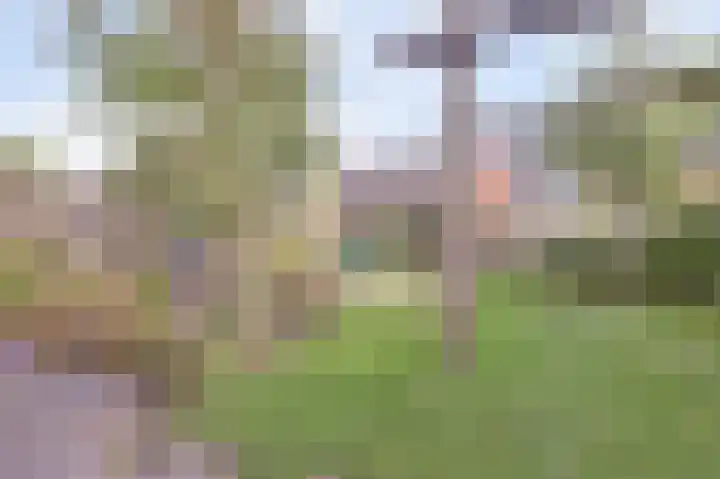 Chirurgijnsgilde 20 Dronten thumbnail 42