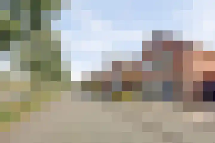 Chirurgijnsgilde 20 Dronten thumbnail 47