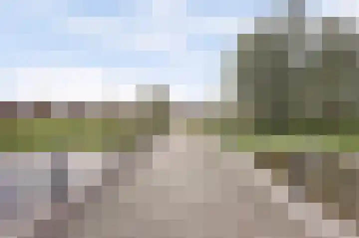 Chirurgijnsgilde 20 Dronten thumbnail 49