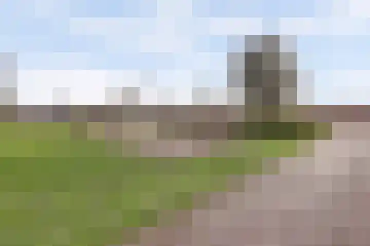 Chirurgijnsgilde 20 Dronten thumbnail 50