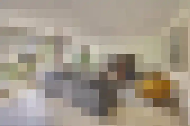Chirurgijnsgilde 20 Dronten thumbnail 8