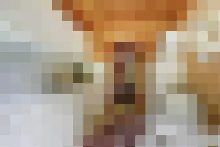 Chloralaan 11 Oostvoorne thumbnail 14