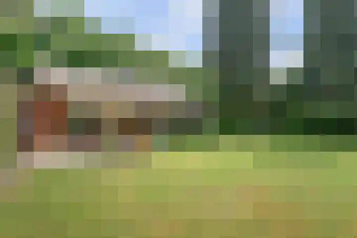 Chloralaan 11 Oostvoorne thumbnail 31