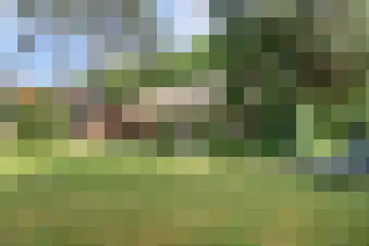 Chloralaan 11 Oostvoorne thumbnail 32