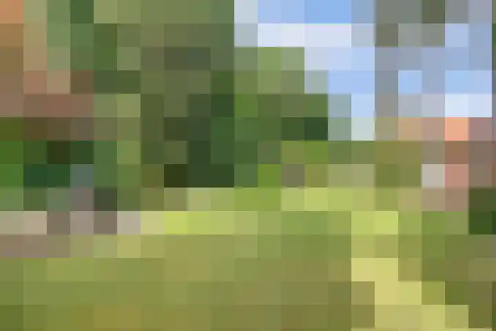 Chloralaan 11 Oostvoorne thumbnail 33