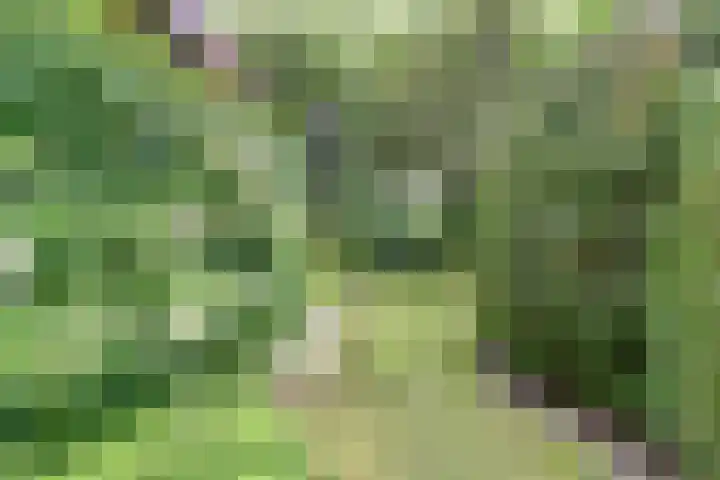 Chloralaan 11 Oostvoorne thumbnail 34