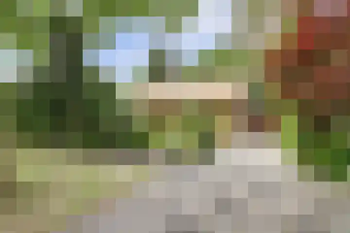 Chloralaan 11 Oostvoorne thumbnail 5