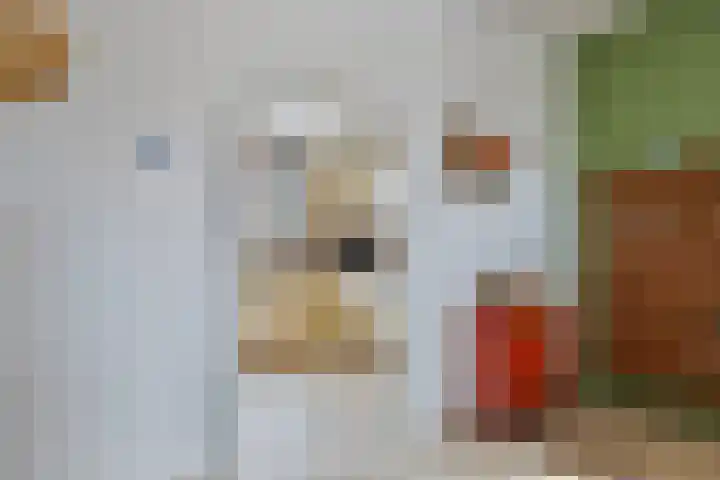 Choorstraat 38 Monster thumbnail 18