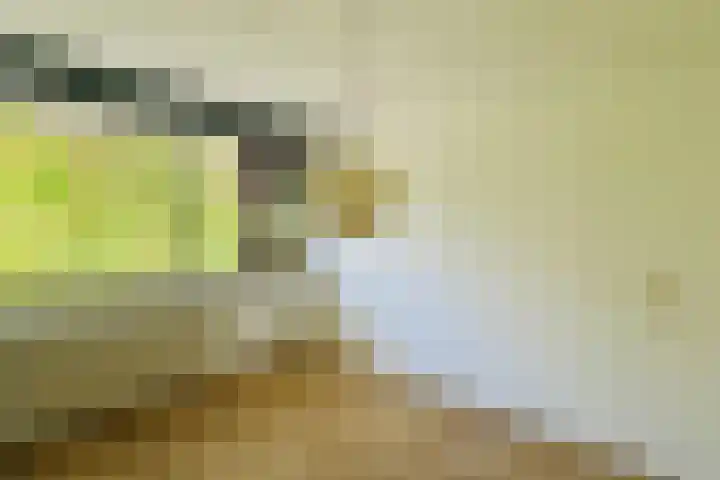 Chopinlaan 94 Delft thumbnail 10