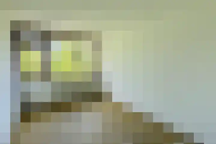 Chopinlaan 94 Delft thumbnail 11