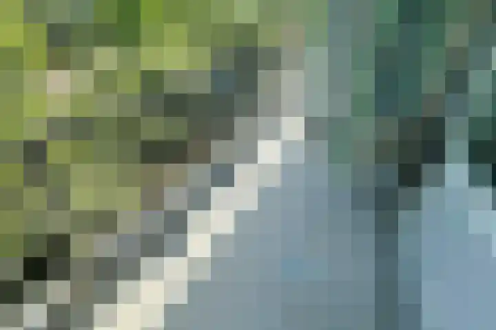 Chopinlaan 94 Delft thumbnail 13