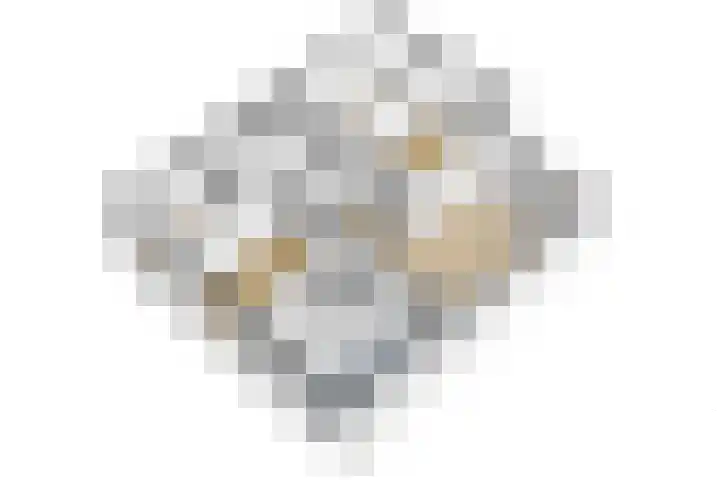 Chopinlaan 94 Delft thumbnail 18