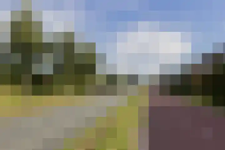 Chopinpad 30 Almere thumbnail 7