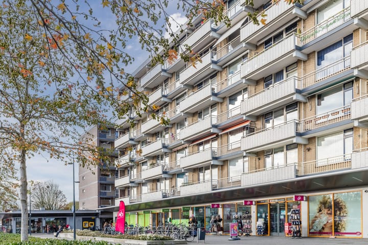 Chopinplein 105 in Culemborg foto