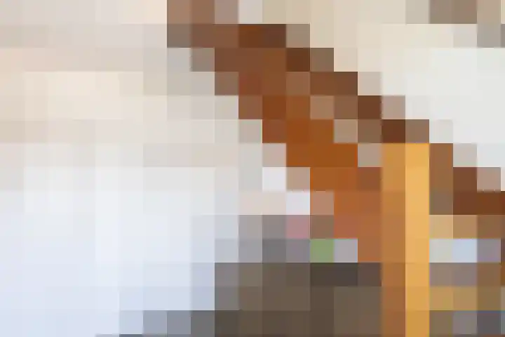 Chopinstraat 2 Eerbeek thumbnail 12