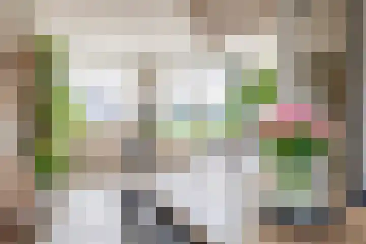 Chopinstraat 7 Lisse thumbnail 14