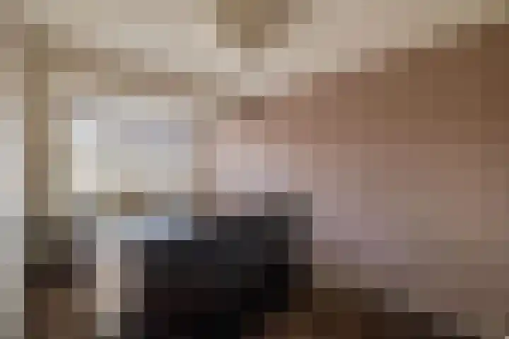 Chopinstraat 7 Lisse thumbnail 20