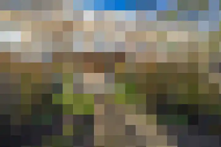 Chopinstraat 7 Lisse thumbnail 35