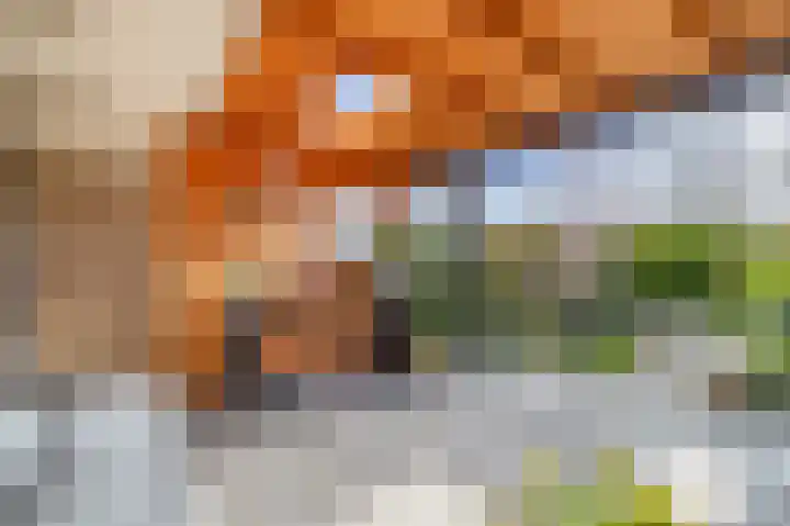 Chopinstraat 7 Lisse thumbnail 39