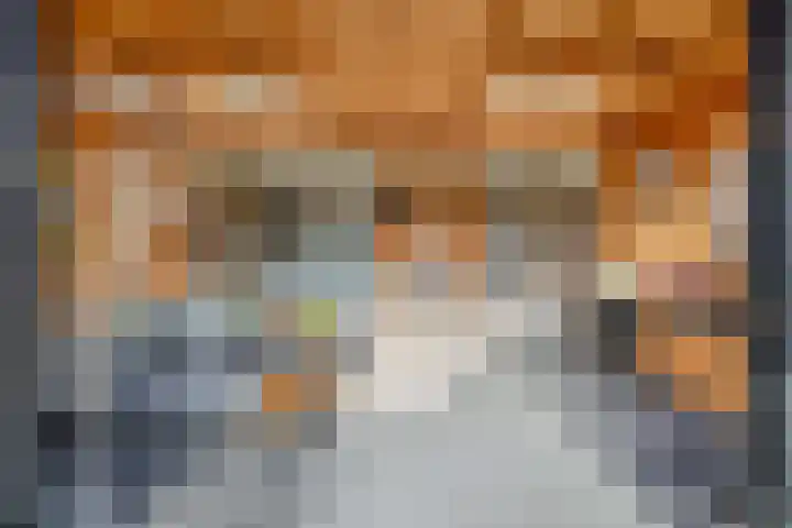 Chopinstraat 7 Lisse thumbnail 41