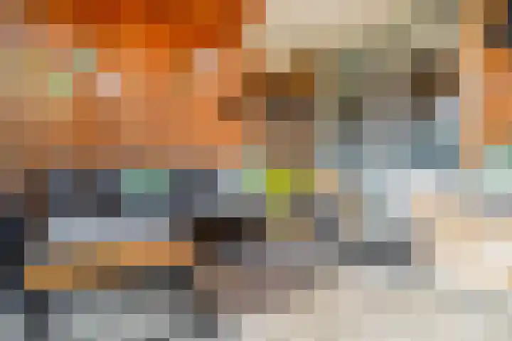 Chopinstraat 7 Lisse thumbnail 43